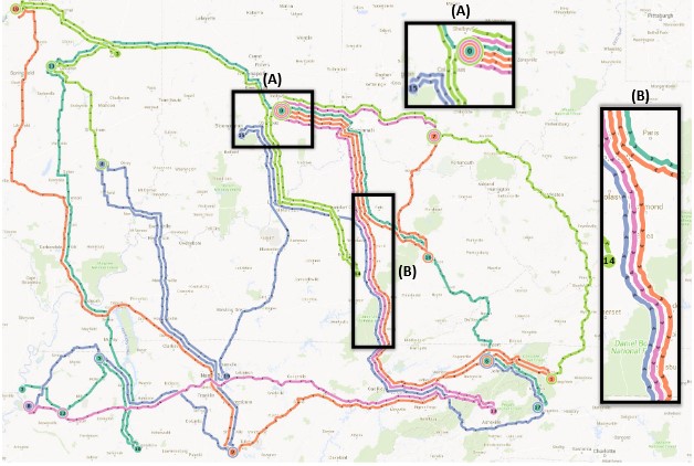 Route Packing: Geospatially-Accurate Visualization of Route Networks